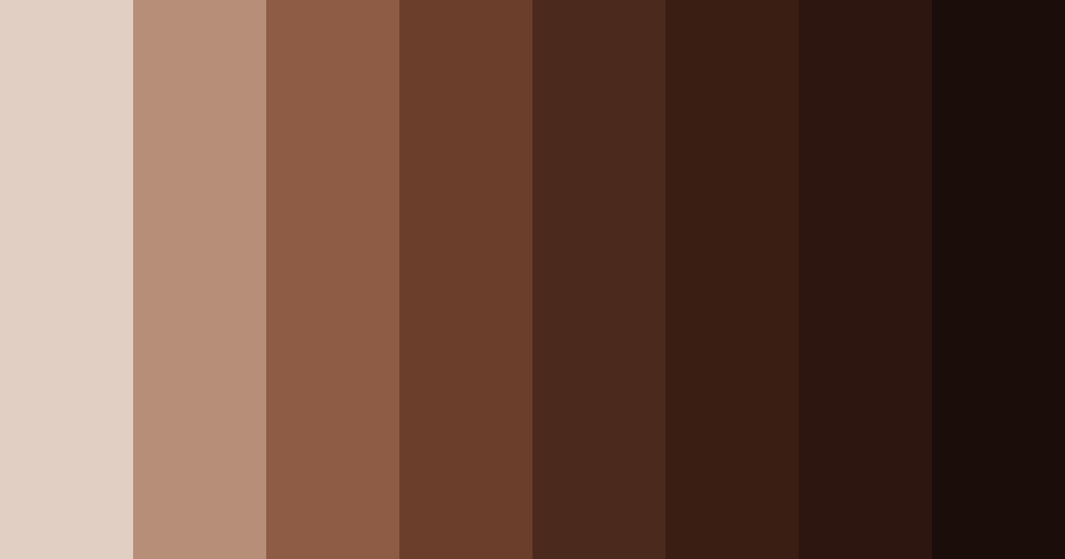 Download dark brown mocha color palette PNG image (landscape)