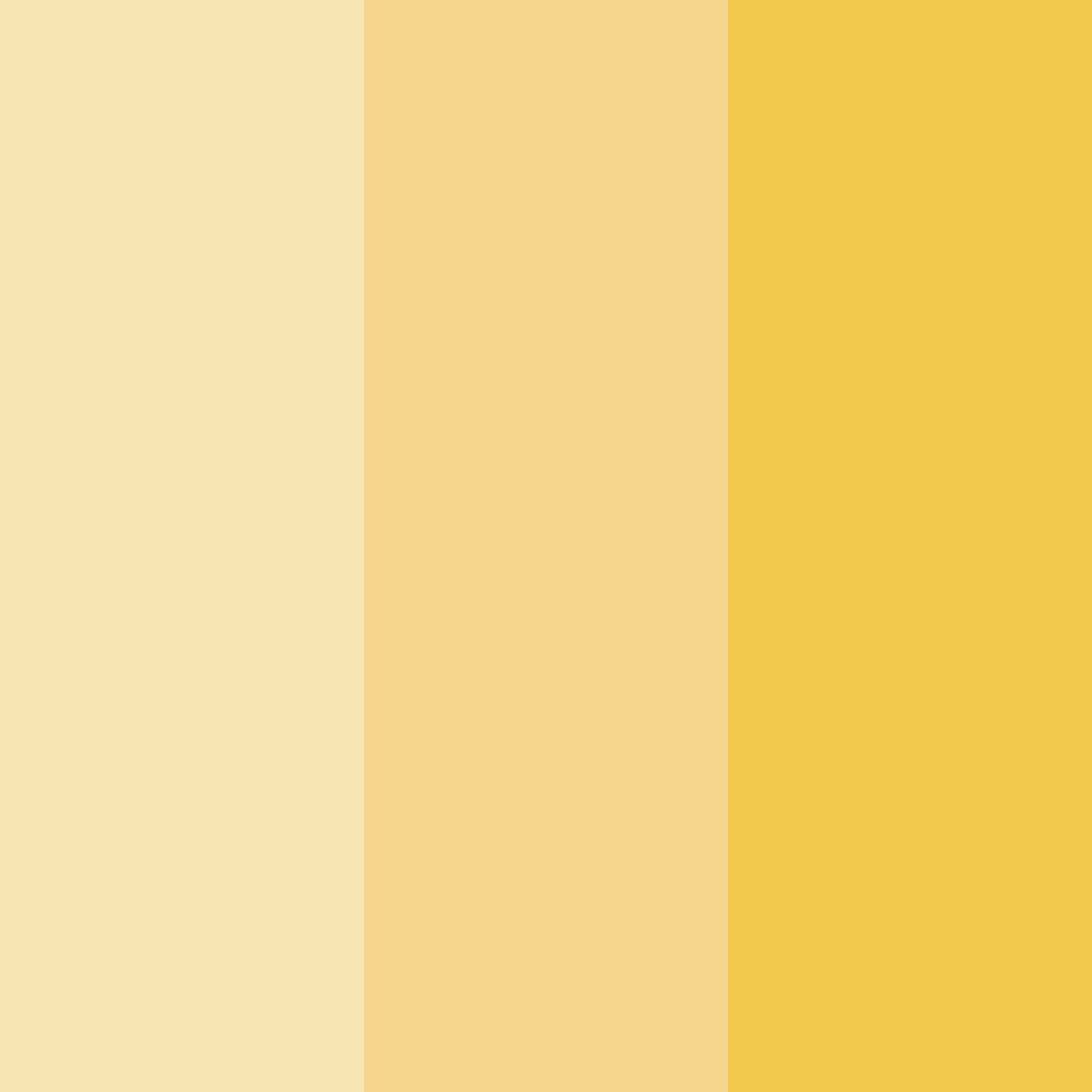 Download golden oasis color palette PNG image (square)