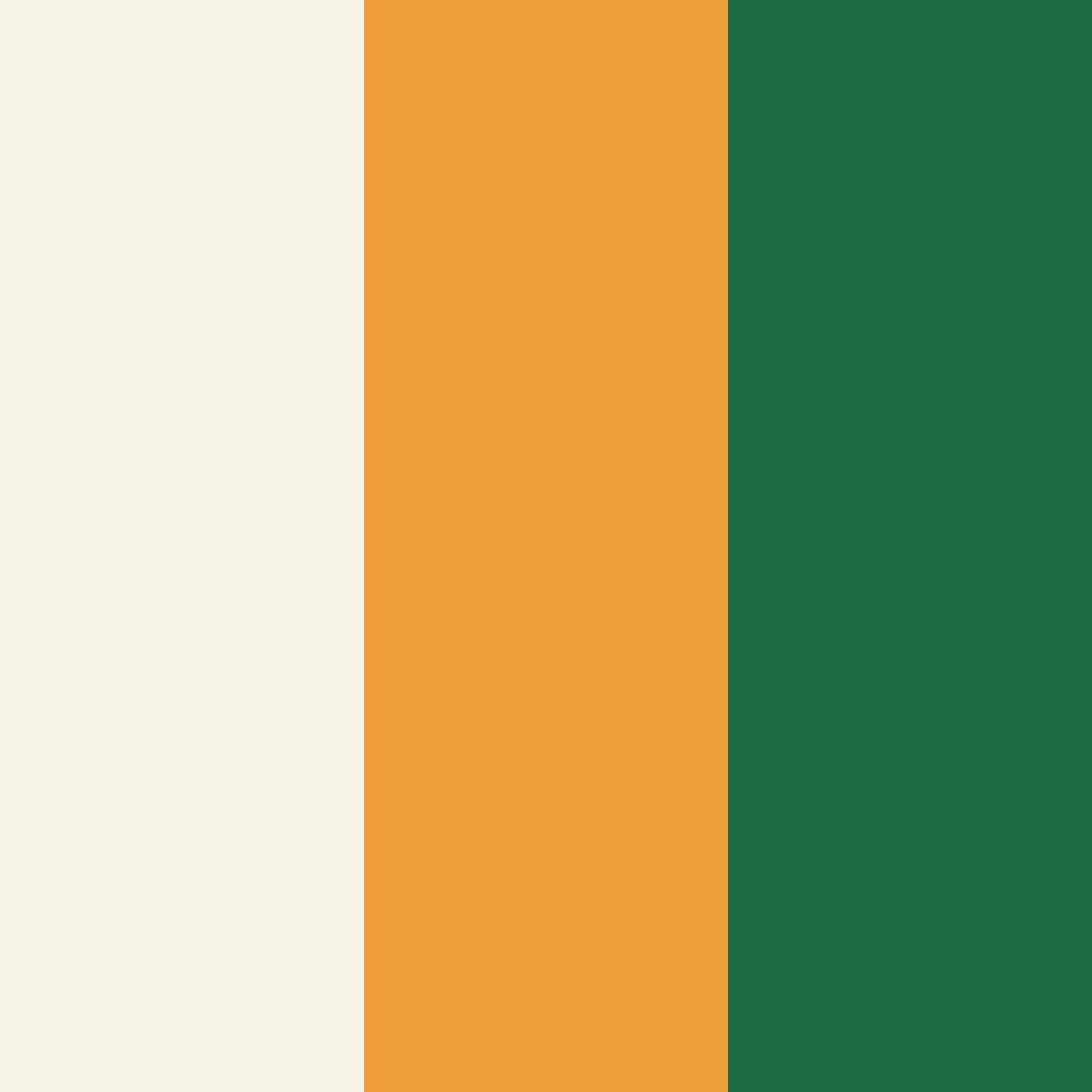Download earthy tones color palette PNG image (square)