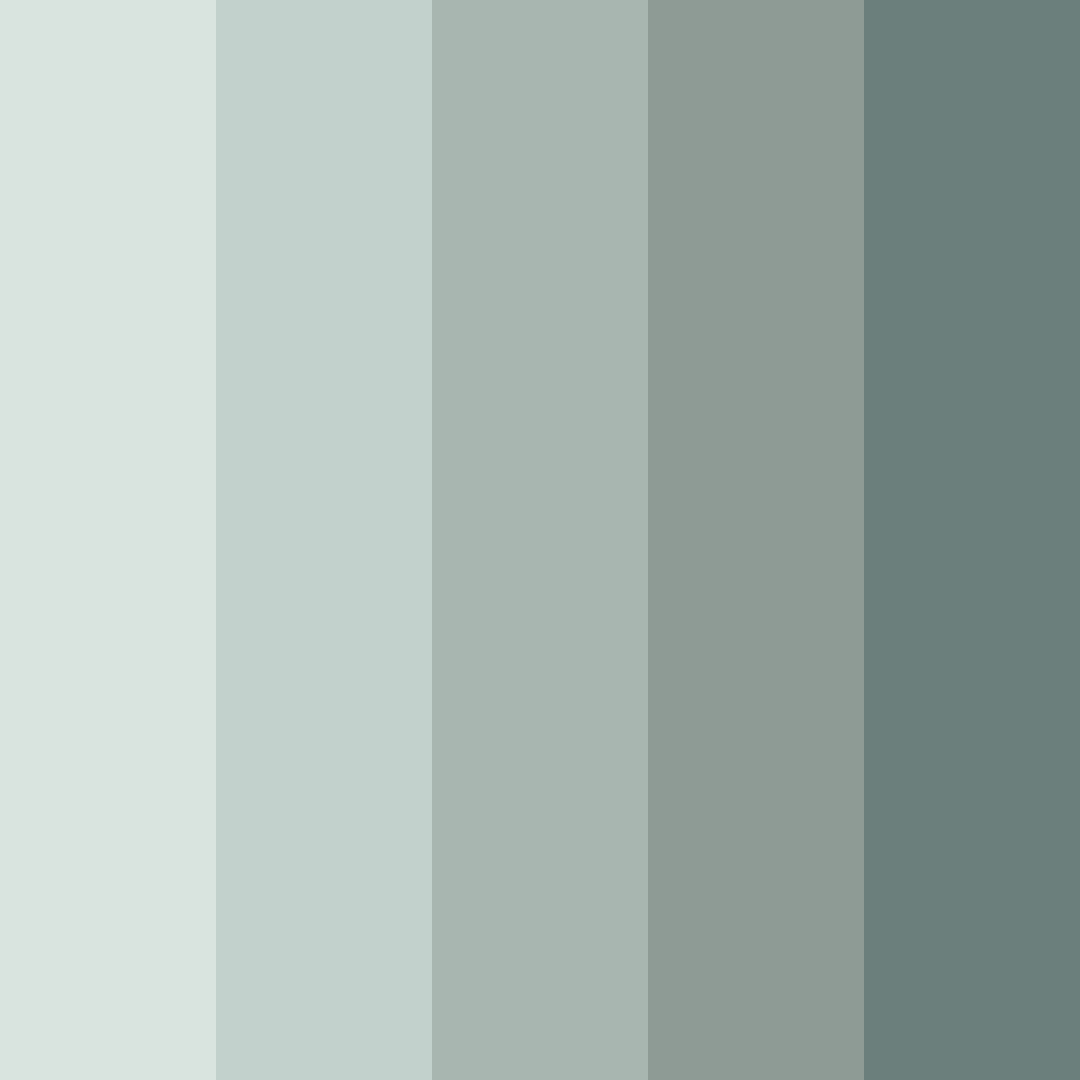 Download whispering mist color palette PNG image (square)