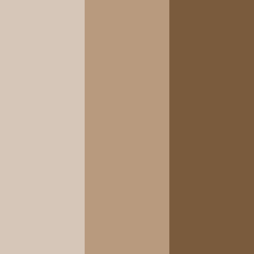 Download rustic embrace color palette PNG image (square)