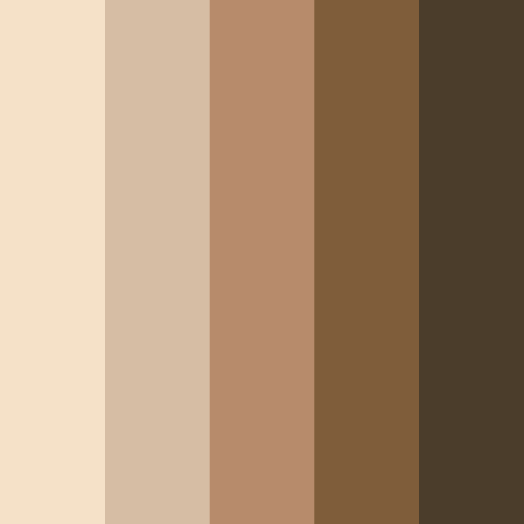 Download chocolate brown color palette PNG image (square)