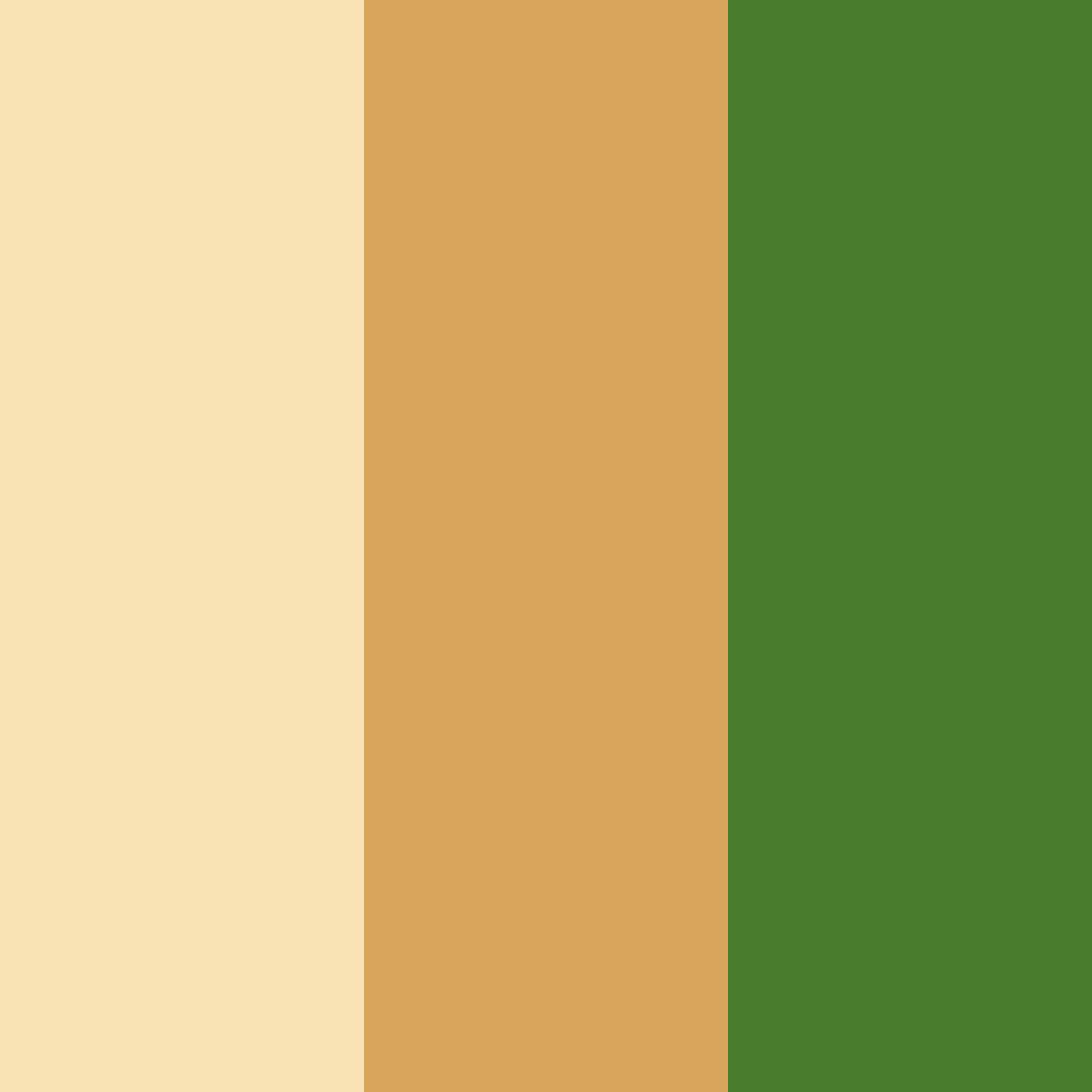 Download sunlit grove color palette PNG image (square)
