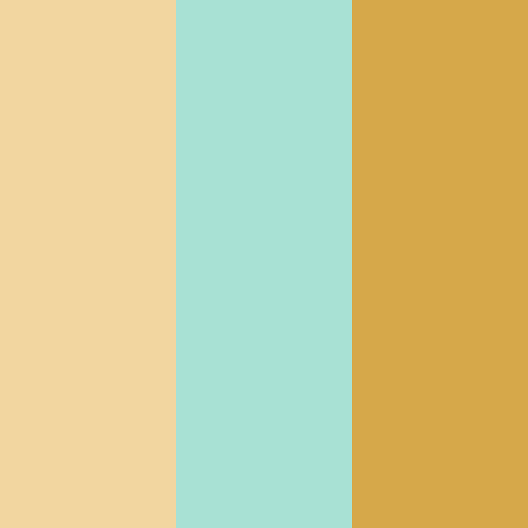 Download honeyed mint sunrise color palette PNG image (square)