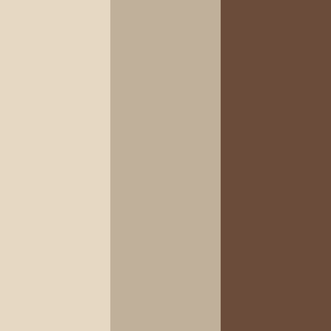 Download elegant black color palette PNG image (square)
