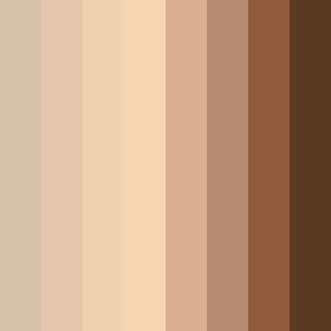 Download light brown hues color palette PNG image (square)