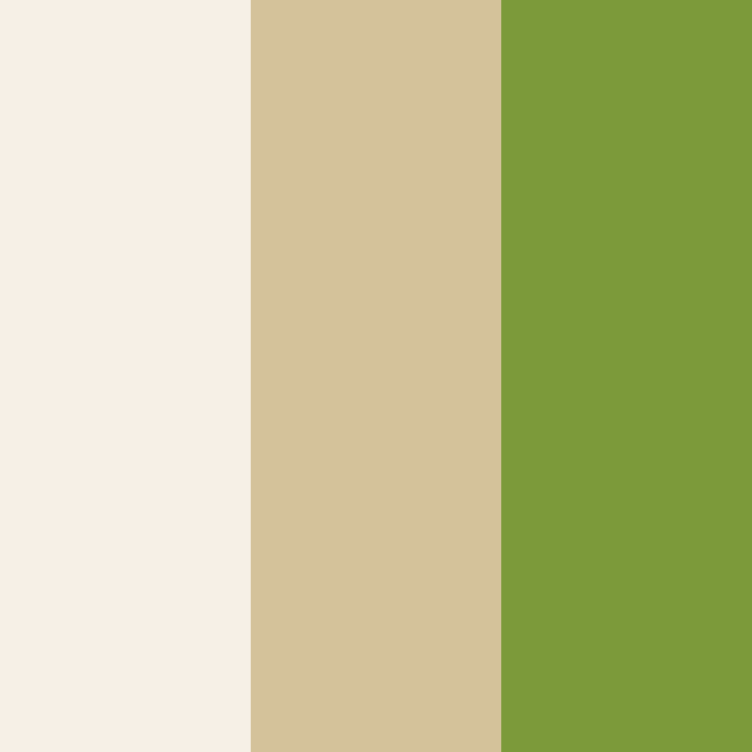 Download amber forest whisper color palette PNG image (square)
