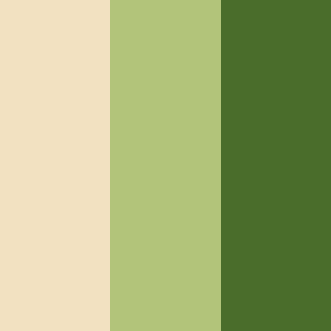 Download warm amber green color palette PNG image (square)