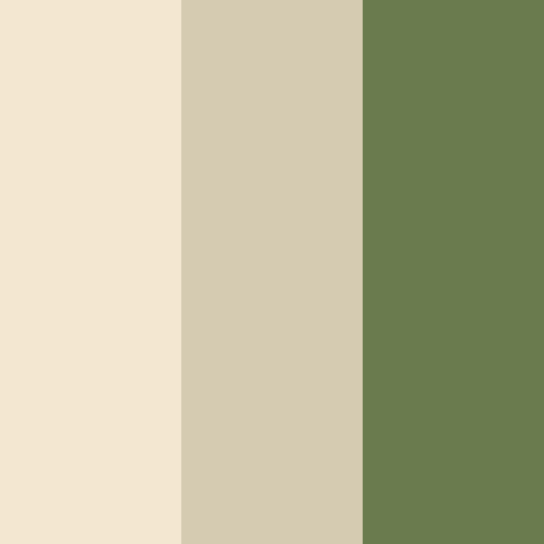 Download amber grove whisper color palette PNG image (square)