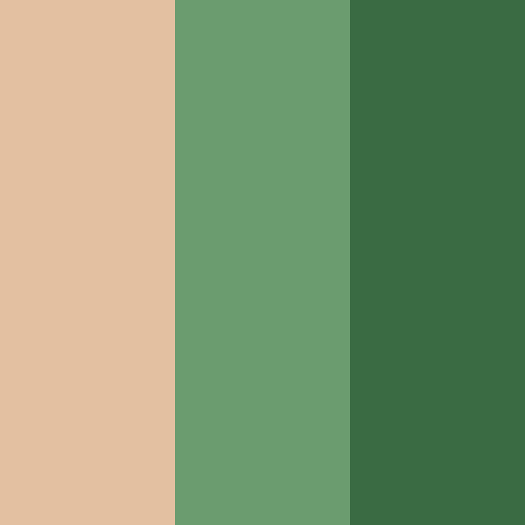 Download soft green color palette PNG image (square)