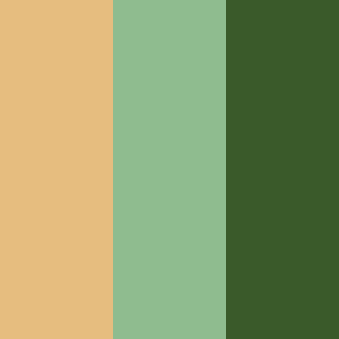 Download muted green color palette PNG image (square)