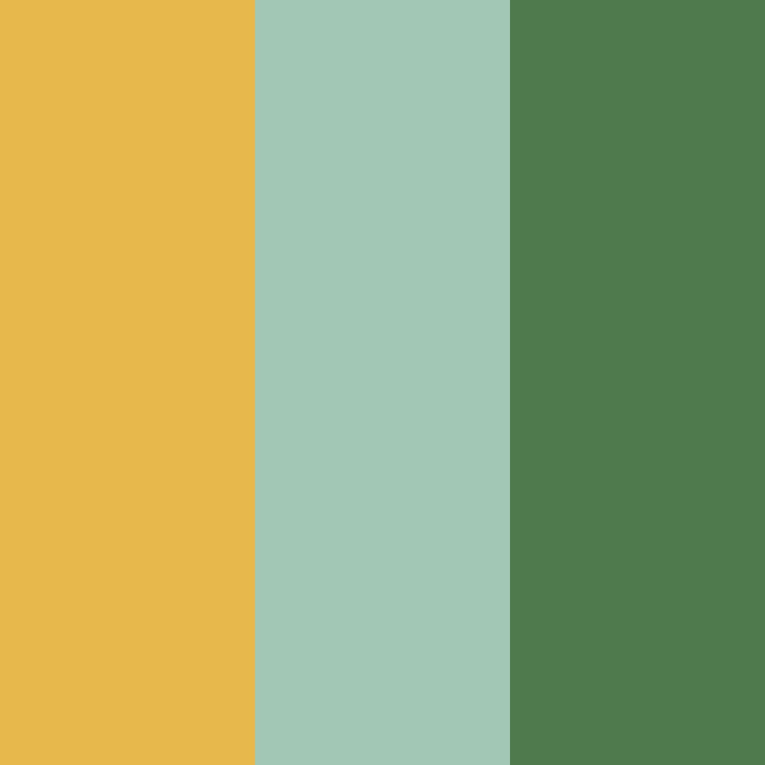 Download sunlit forest whisper color palette PNG image (square)