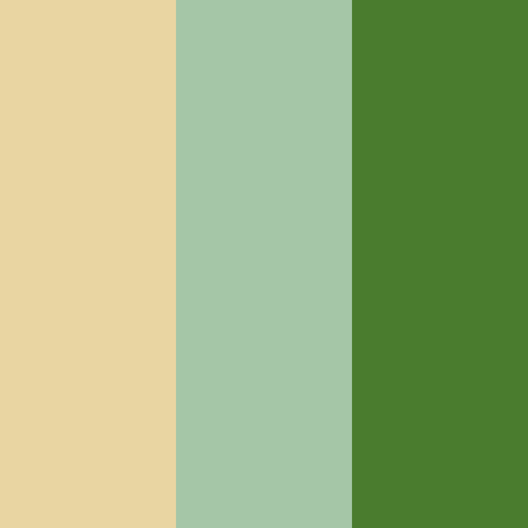 Download amber velvet whisper color palette PNG image (square)