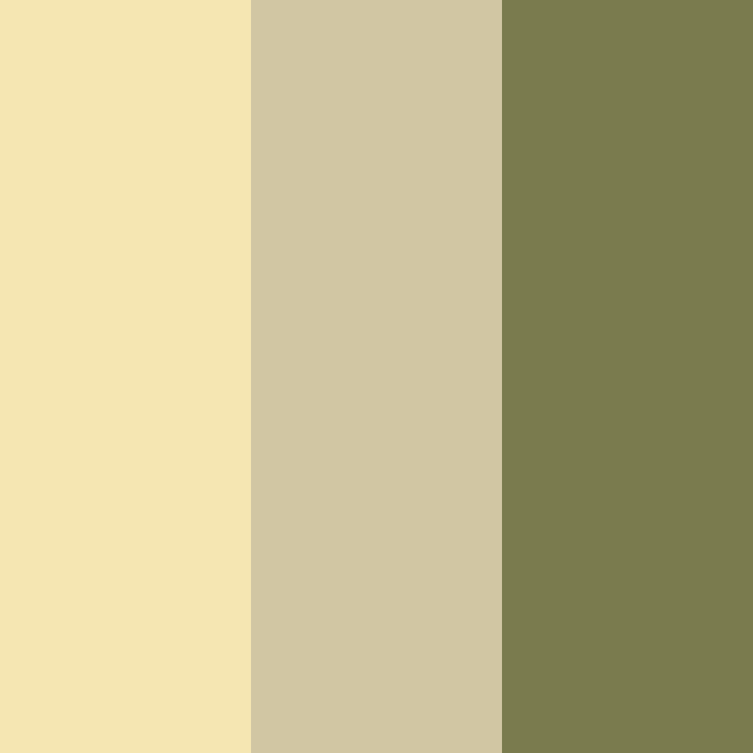 Download olive gold cream color palette PNG image (square)