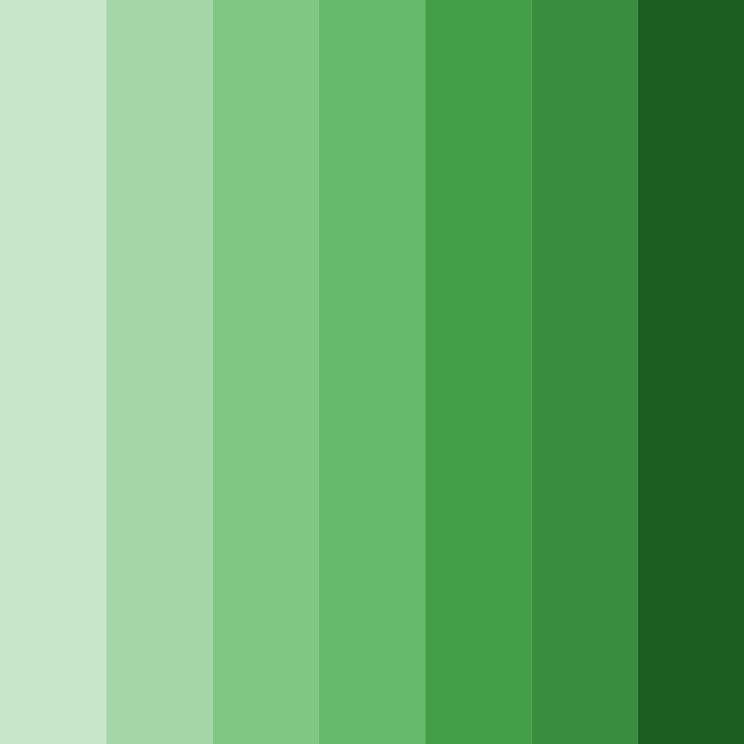 Download emerald forest whisper color palette PNG image (square)
