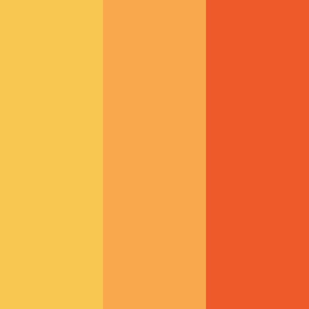 Download golden youth color palette PNG image (square)