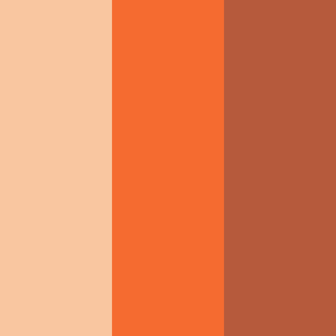 Download warm orange color palette PNG image (square)