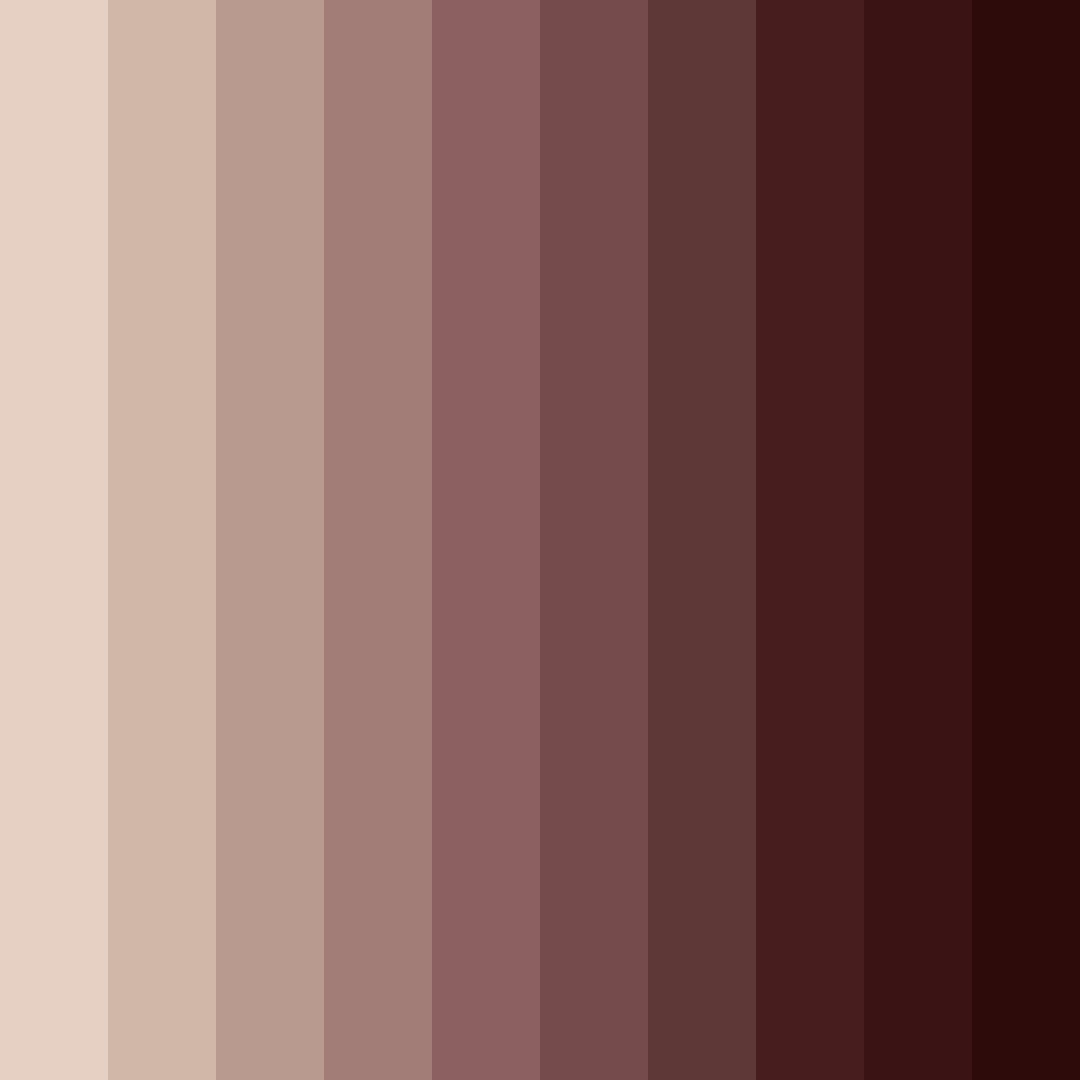 Download brown shades color palette PNG image (square)