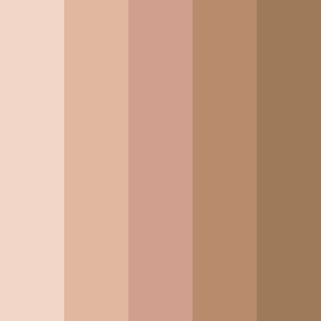 Download bisquit brown color palette PNG image (square)