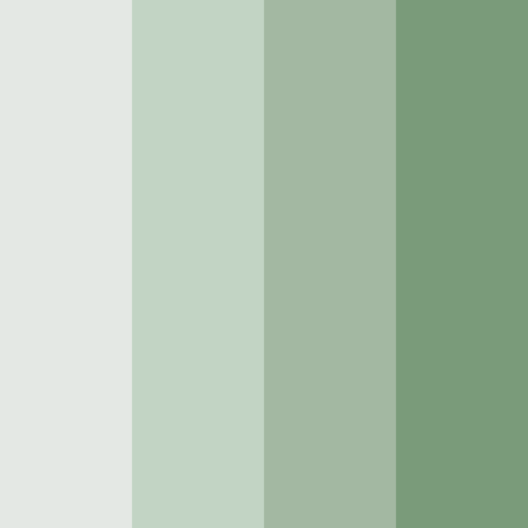 Download serene forest whisper color palette PNG image (square)