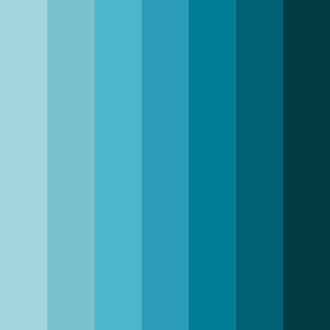 Download coral oasis color palette PNG image (square)