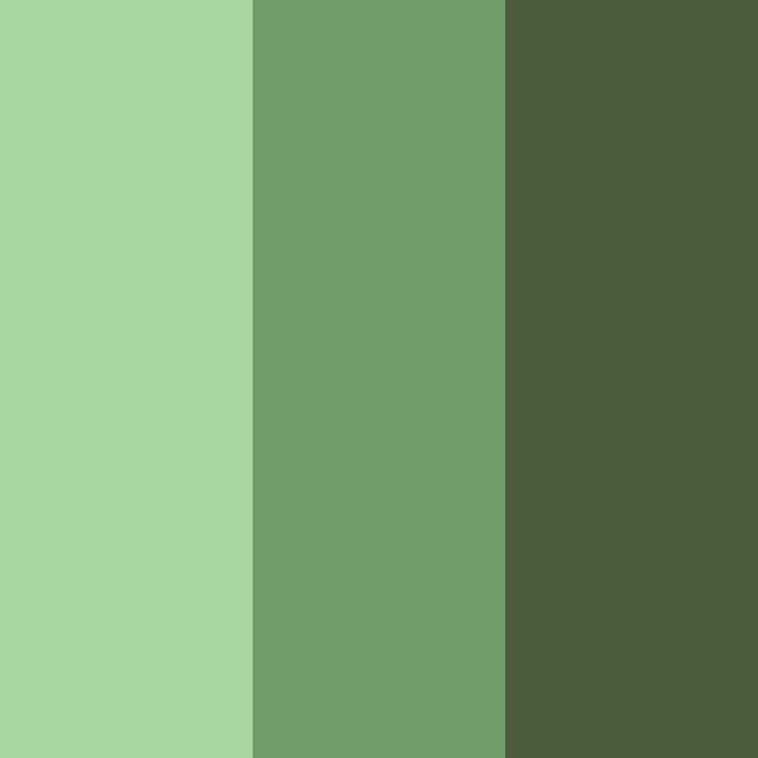 Download forest whisper color palette PNG image (square)