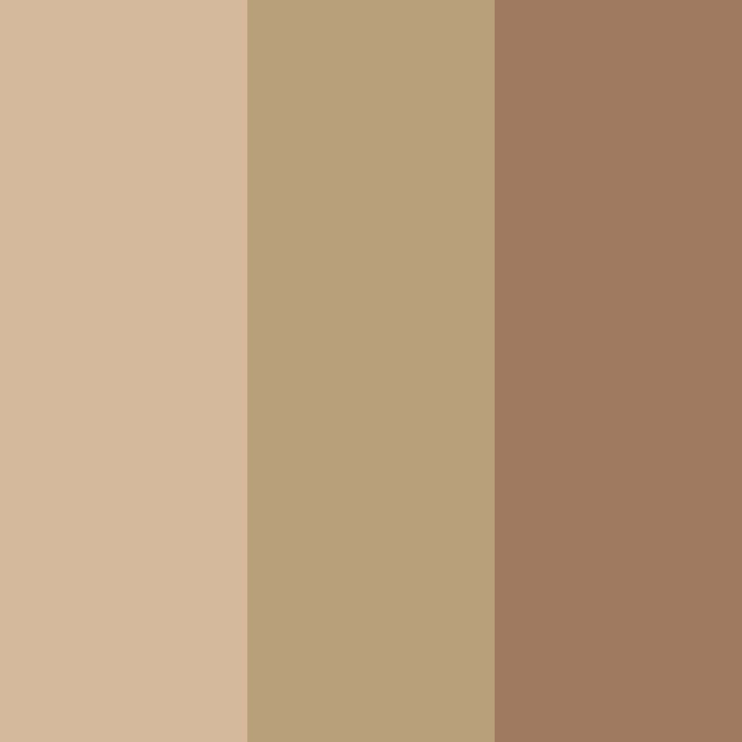 Download earthy brown color palette PNG image (square)