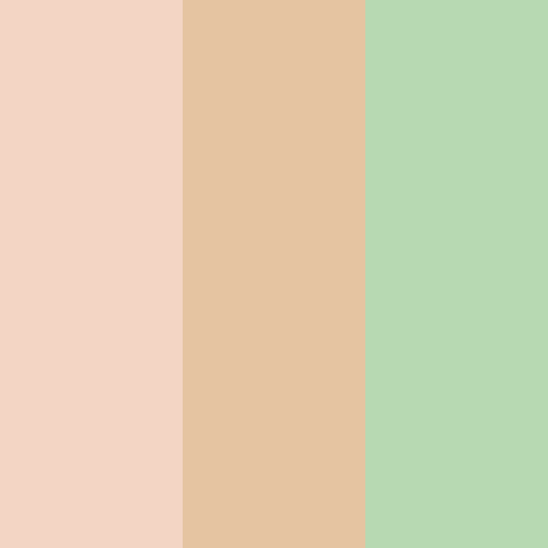 Download peachy green color palette PNG image (square)