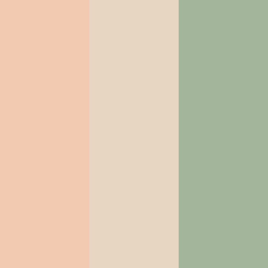 Download peachy green color palette PNG image (square)