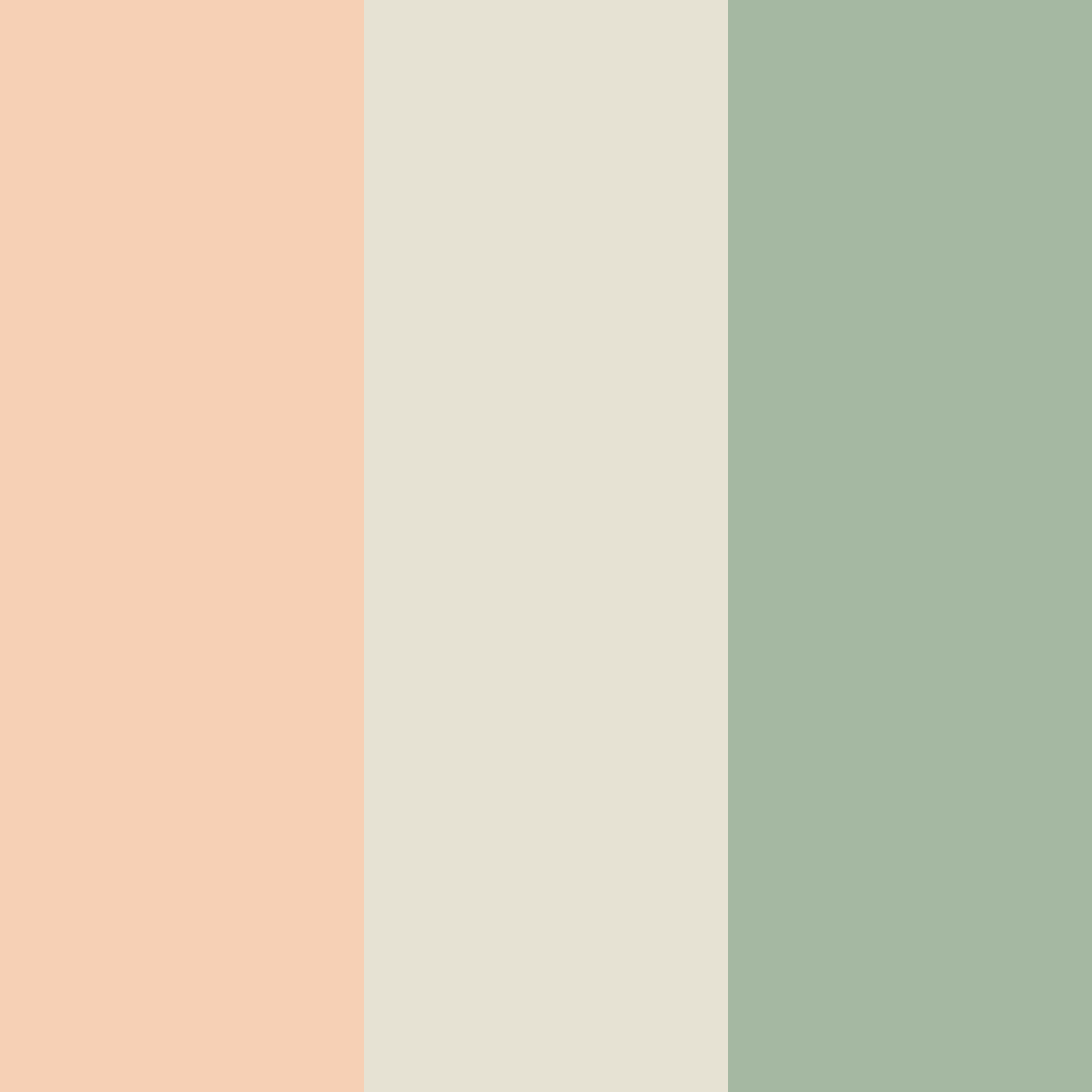 Download peachy green color palette PNG image (square)