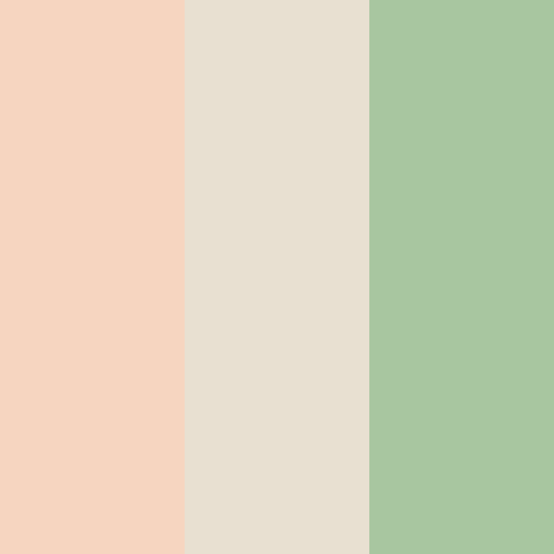 Download peachy green color palette PNG image (square)