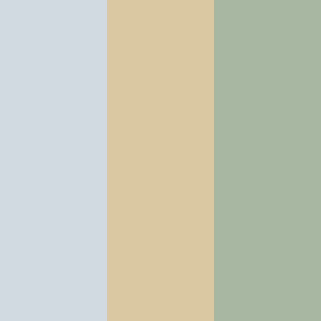 Download cool sage color palette PNG image (square)