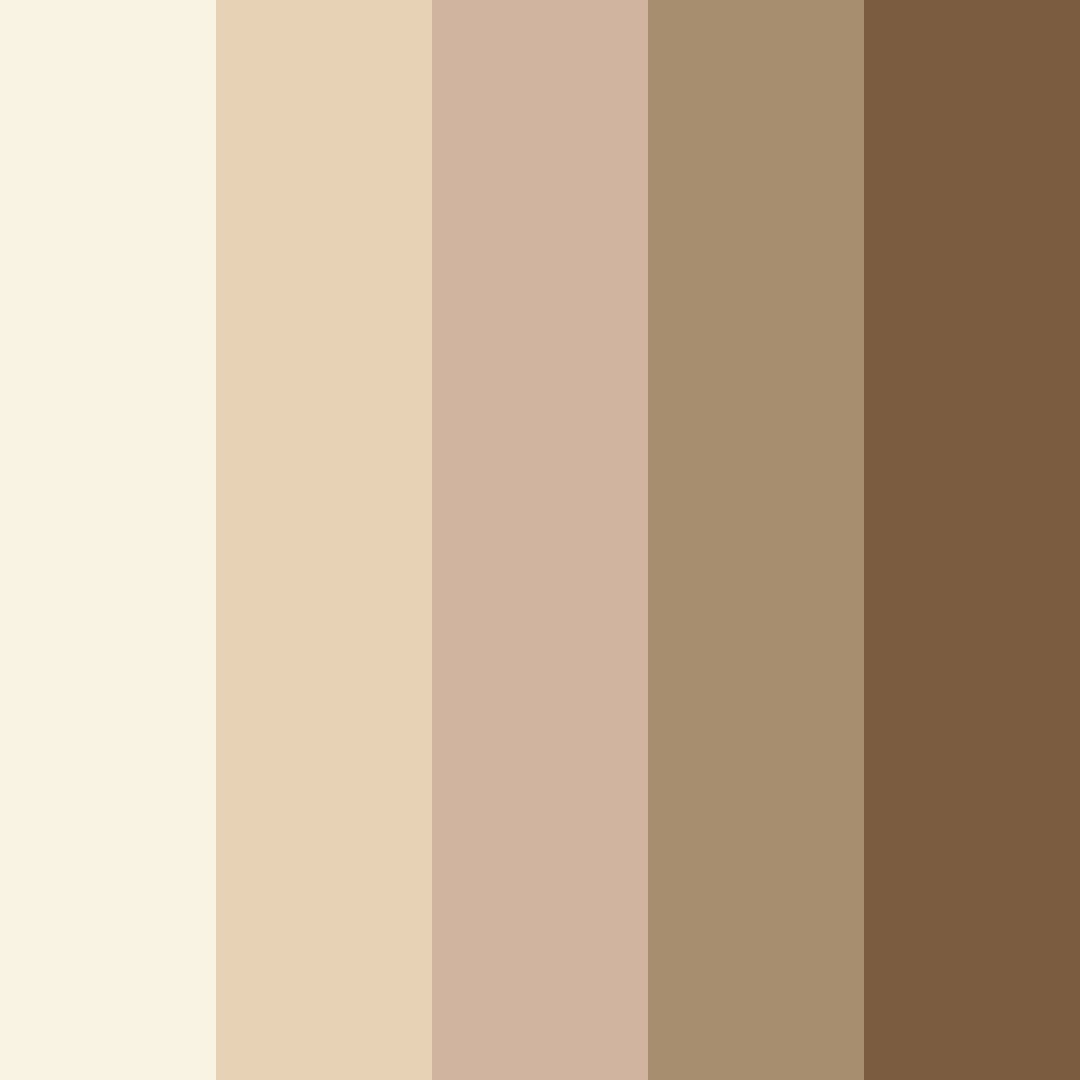 Download beige elegance color palette PNG image (square)