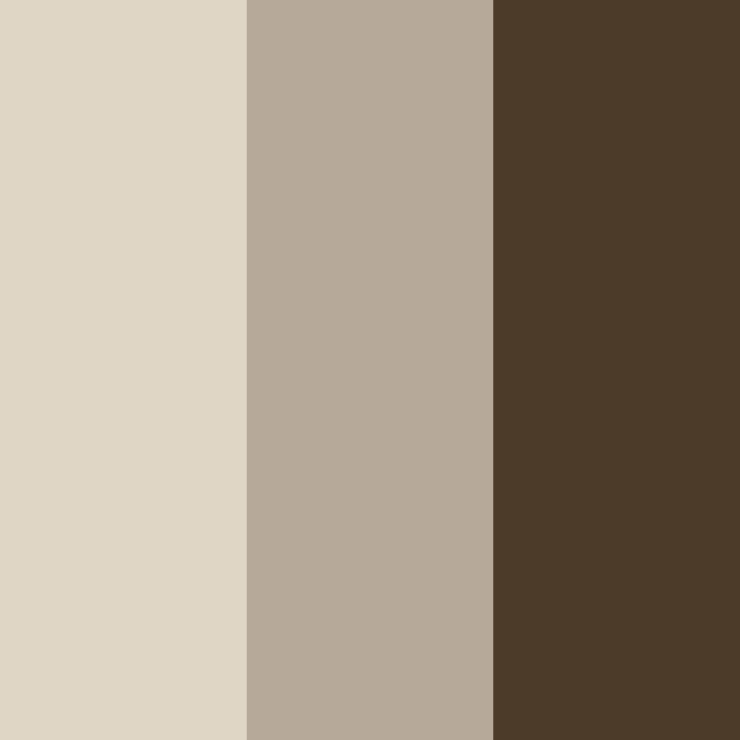 Download brown japandi color palette PNG image (square)