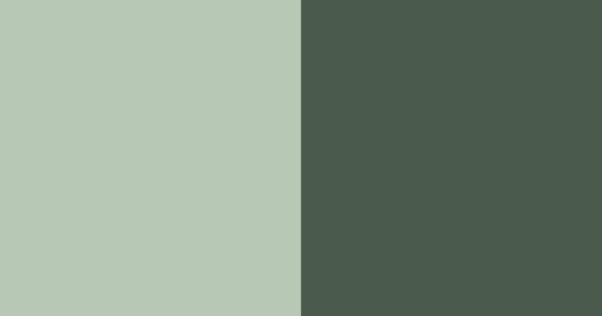 Download misty fern color palette PNG image (landscape)