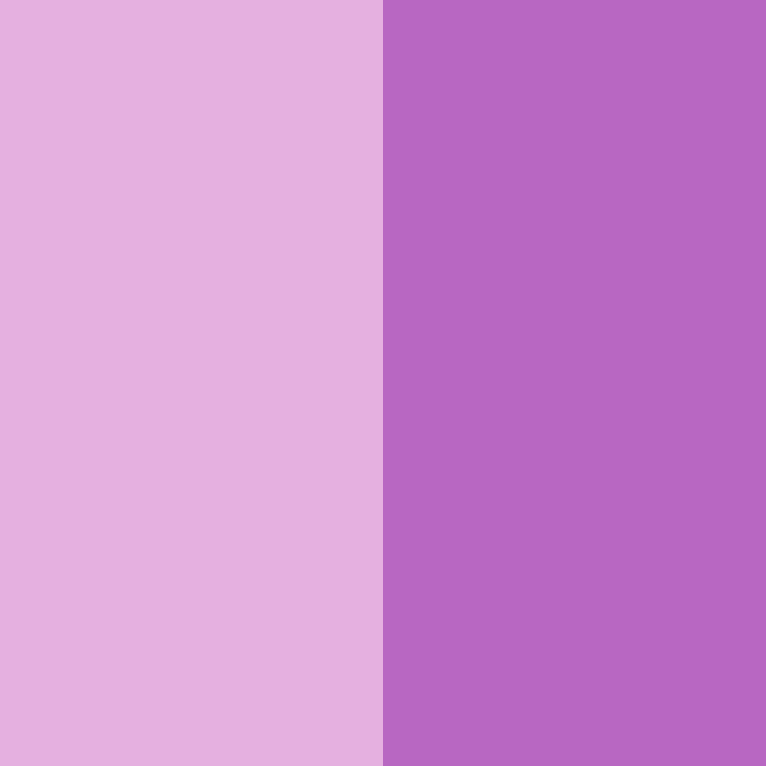 Download purple blossom color palette PNG image (square)