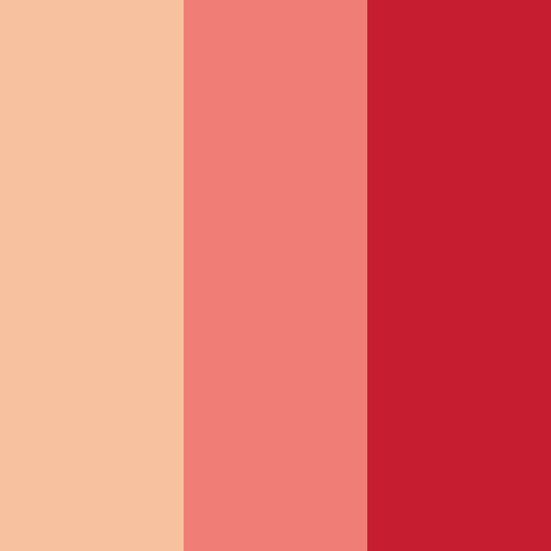Download shades of red color palette PNG image (square)