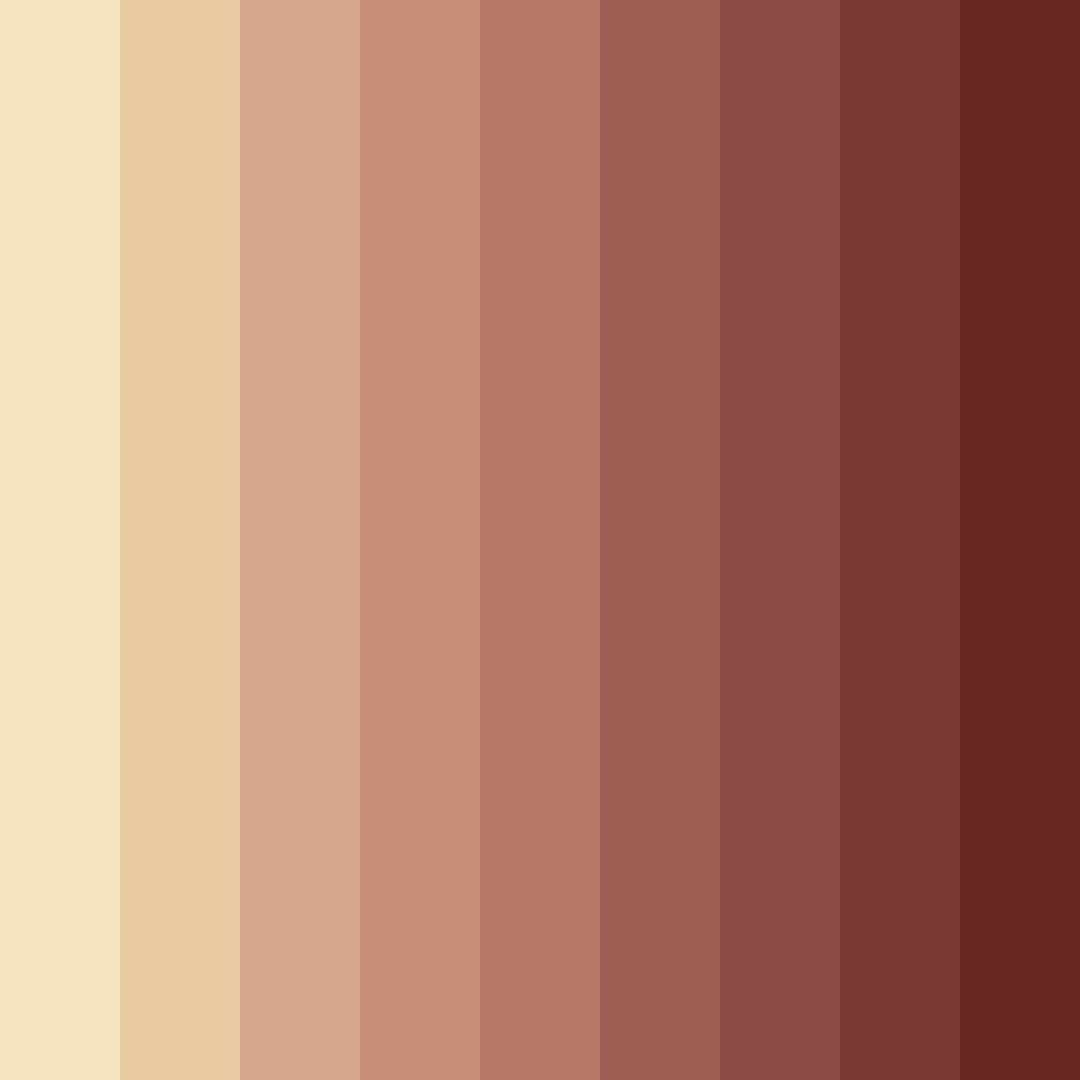 Download brown coffee color palette PNG image (square)