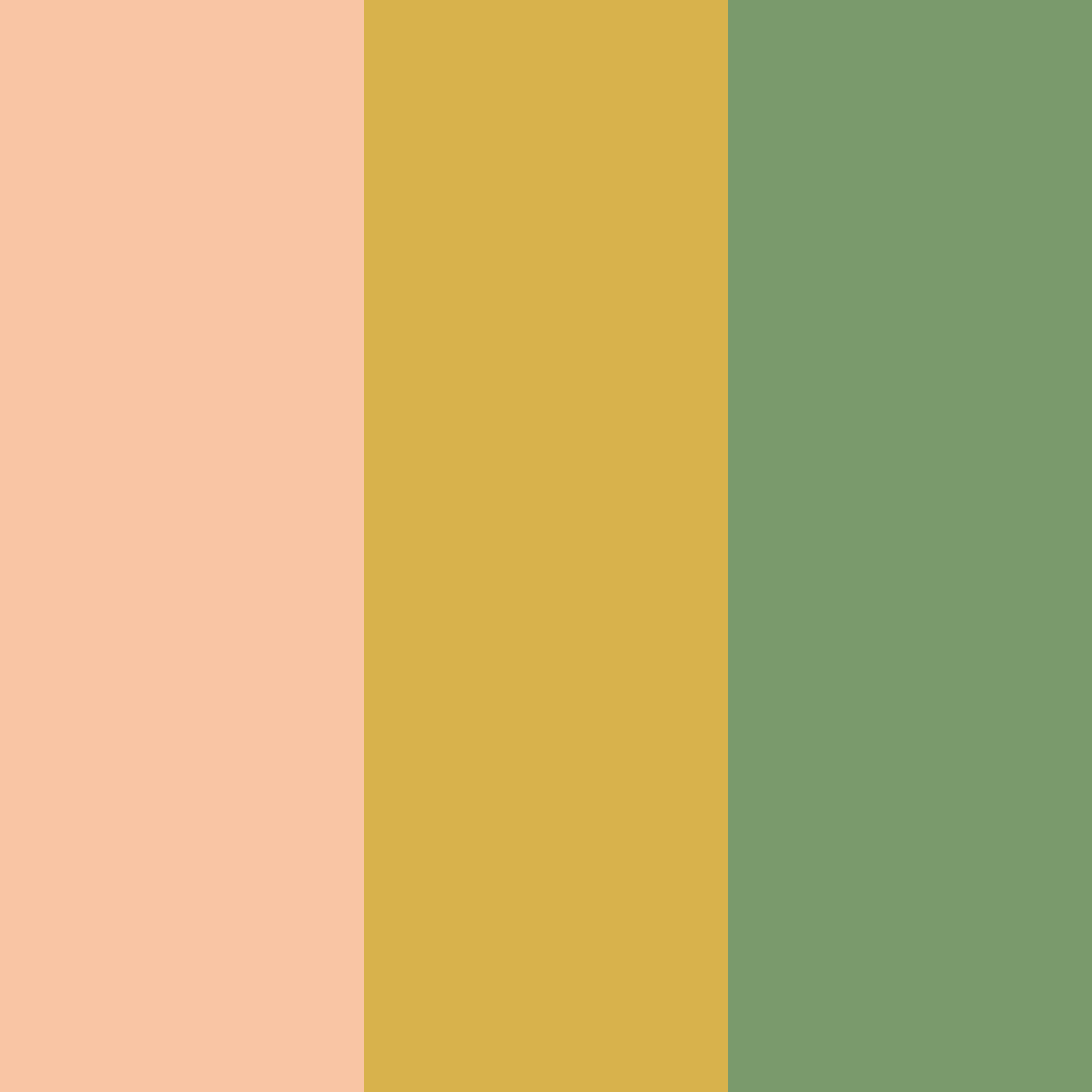 Download warm peach color palette PNG image (square)