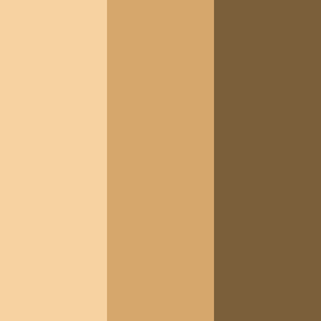 Download rustic peach whisper color palette PNG image (square)