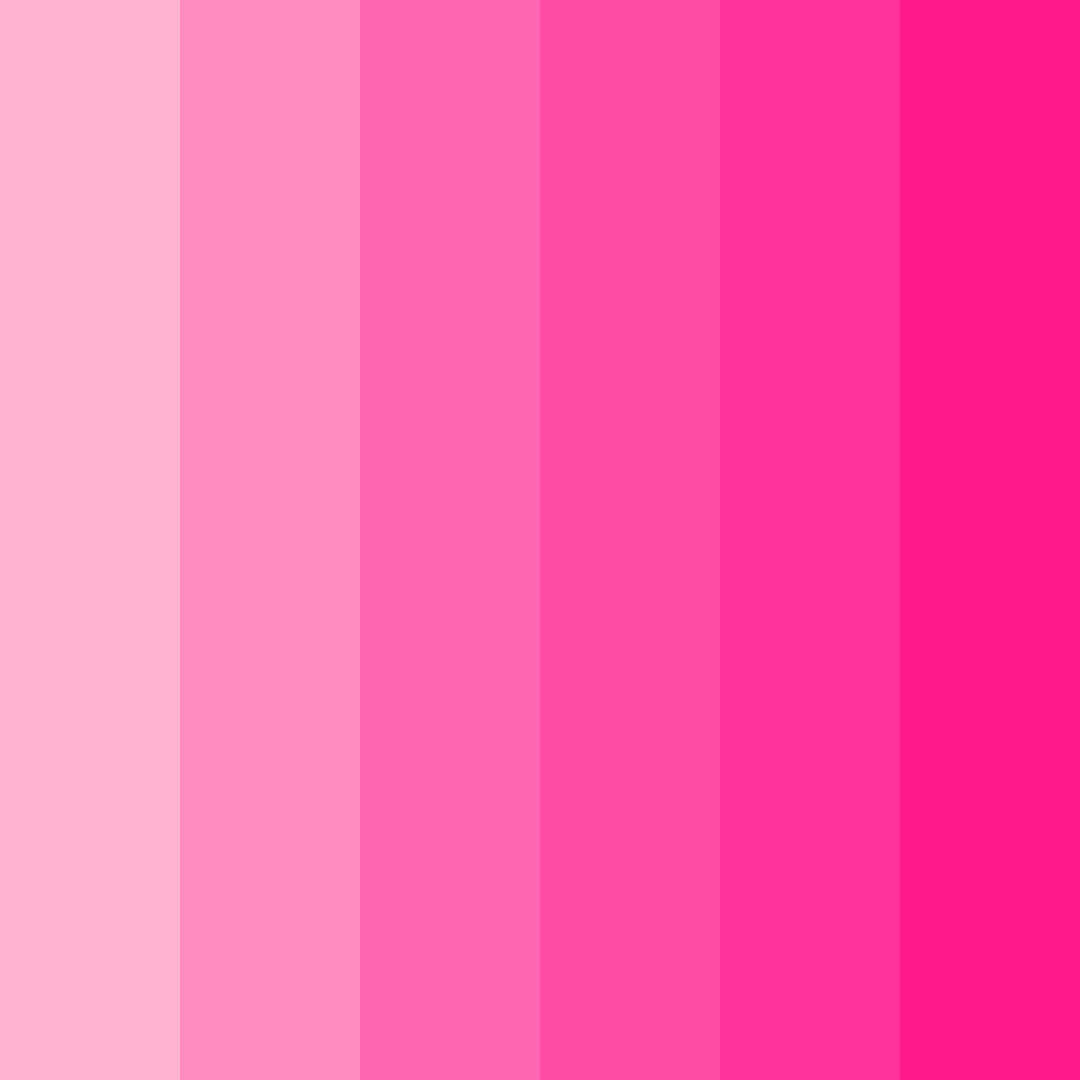 Download blossom burst color palette PNG image (square)