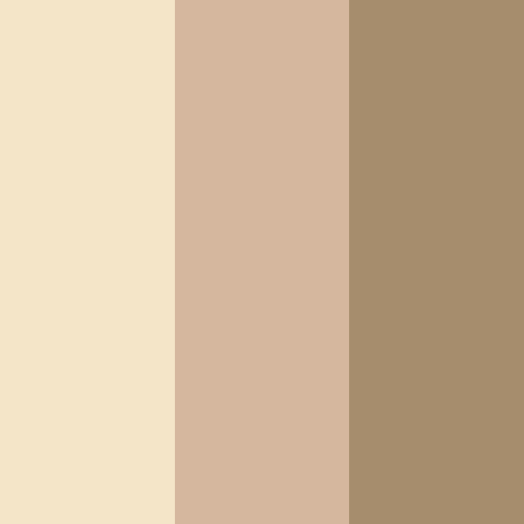 Download light tan color palette PNG image (square)