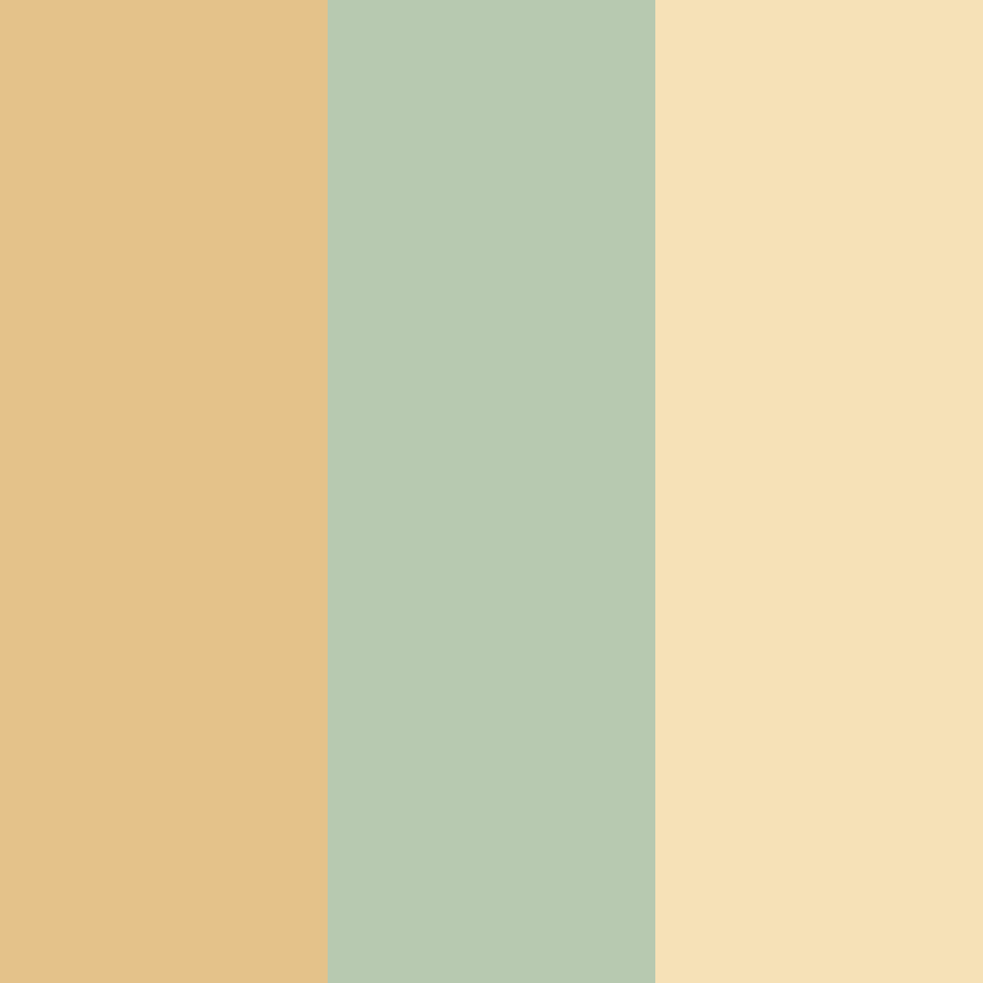 Download sunlit sage harmony color palette PNG image (square)