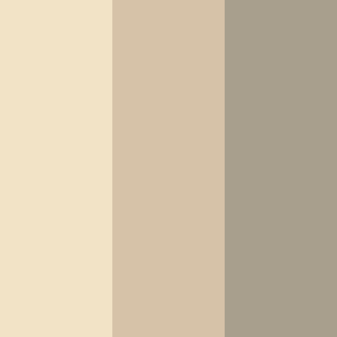 Download soft beige color palette PNG image (square)