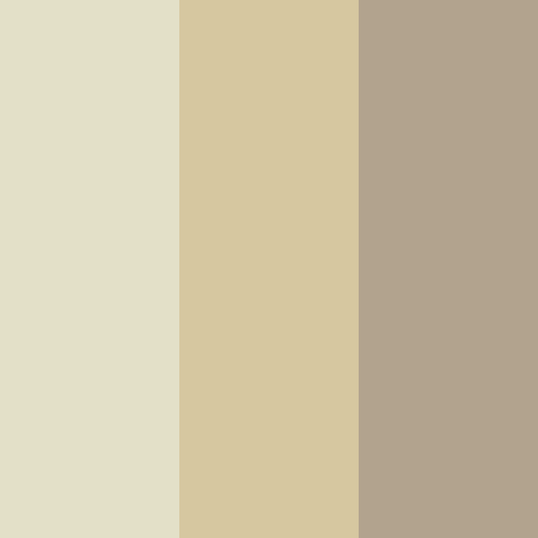 Download soft sage color palette PNG image (square)
