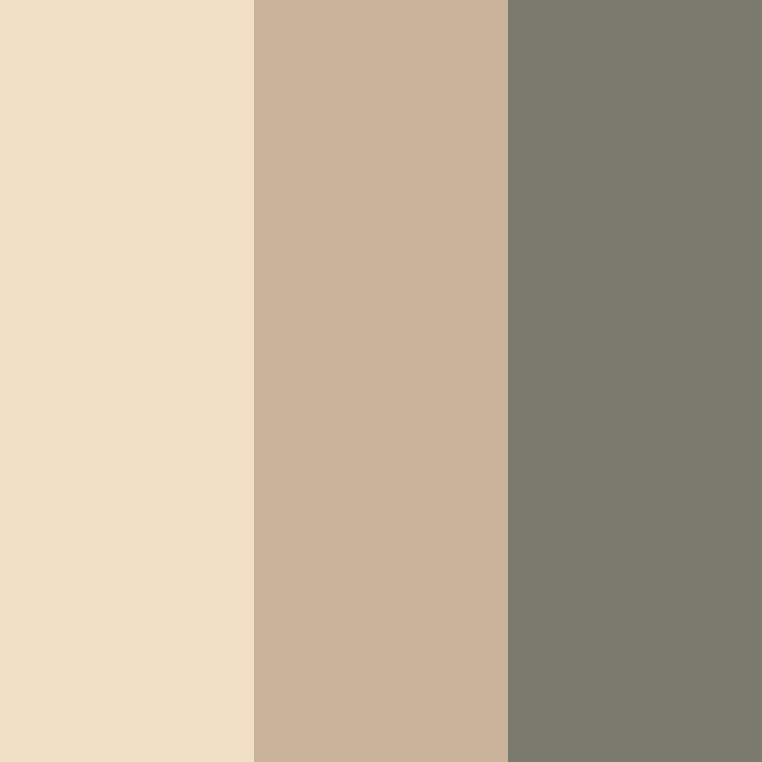 Download sage beige color palette PNG image (square)