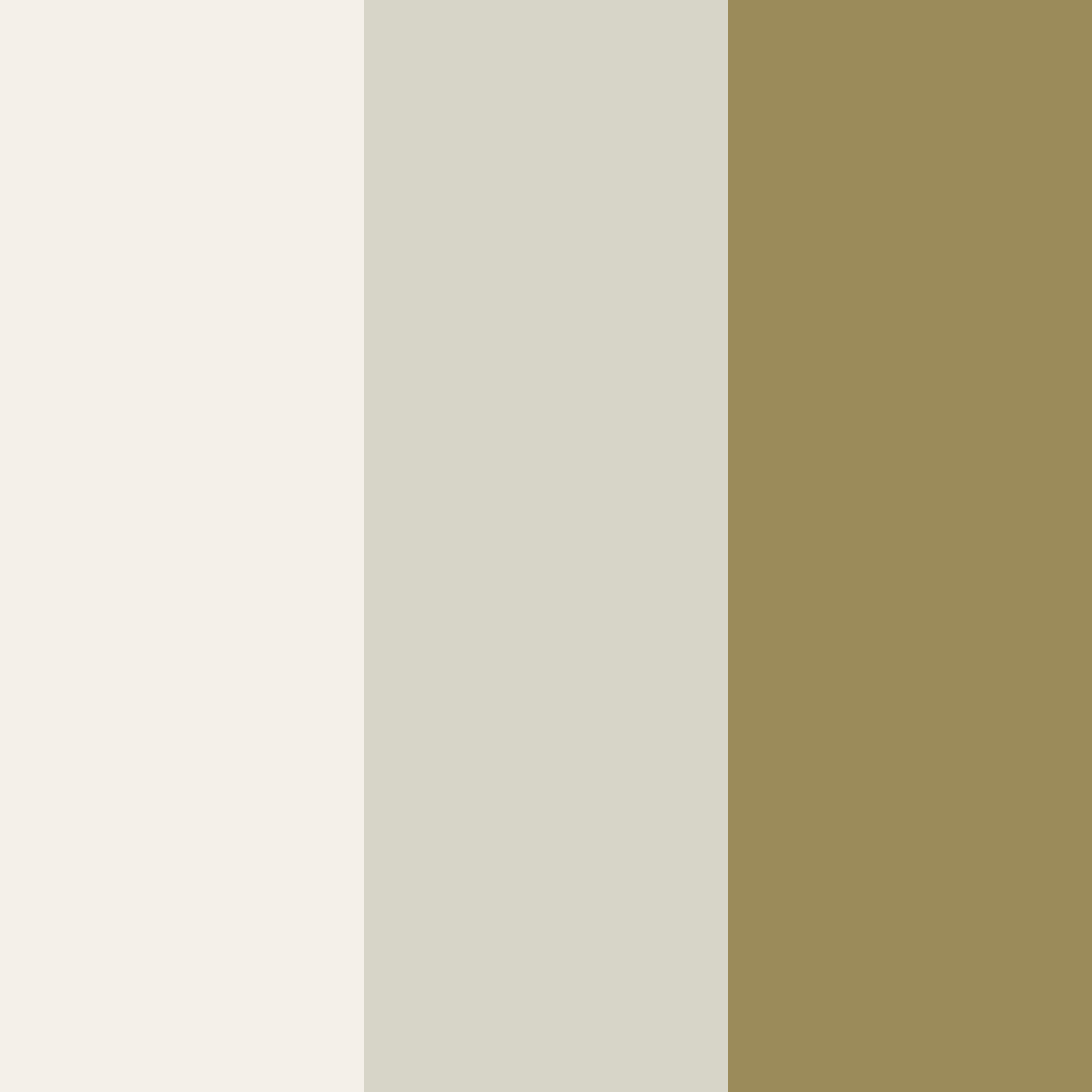 Download sage whisper color palette PNG image (square)