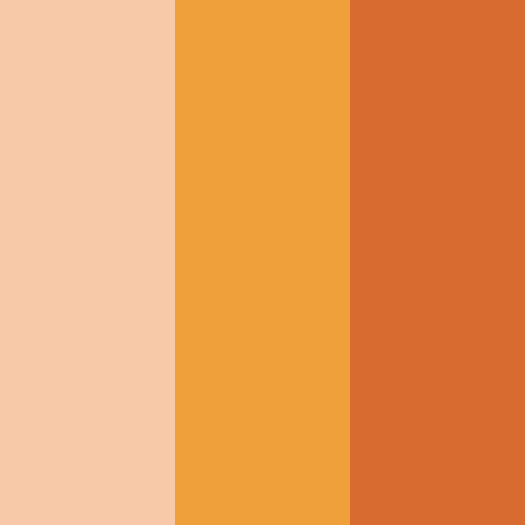 Download warm orange color palette PNG image (square)