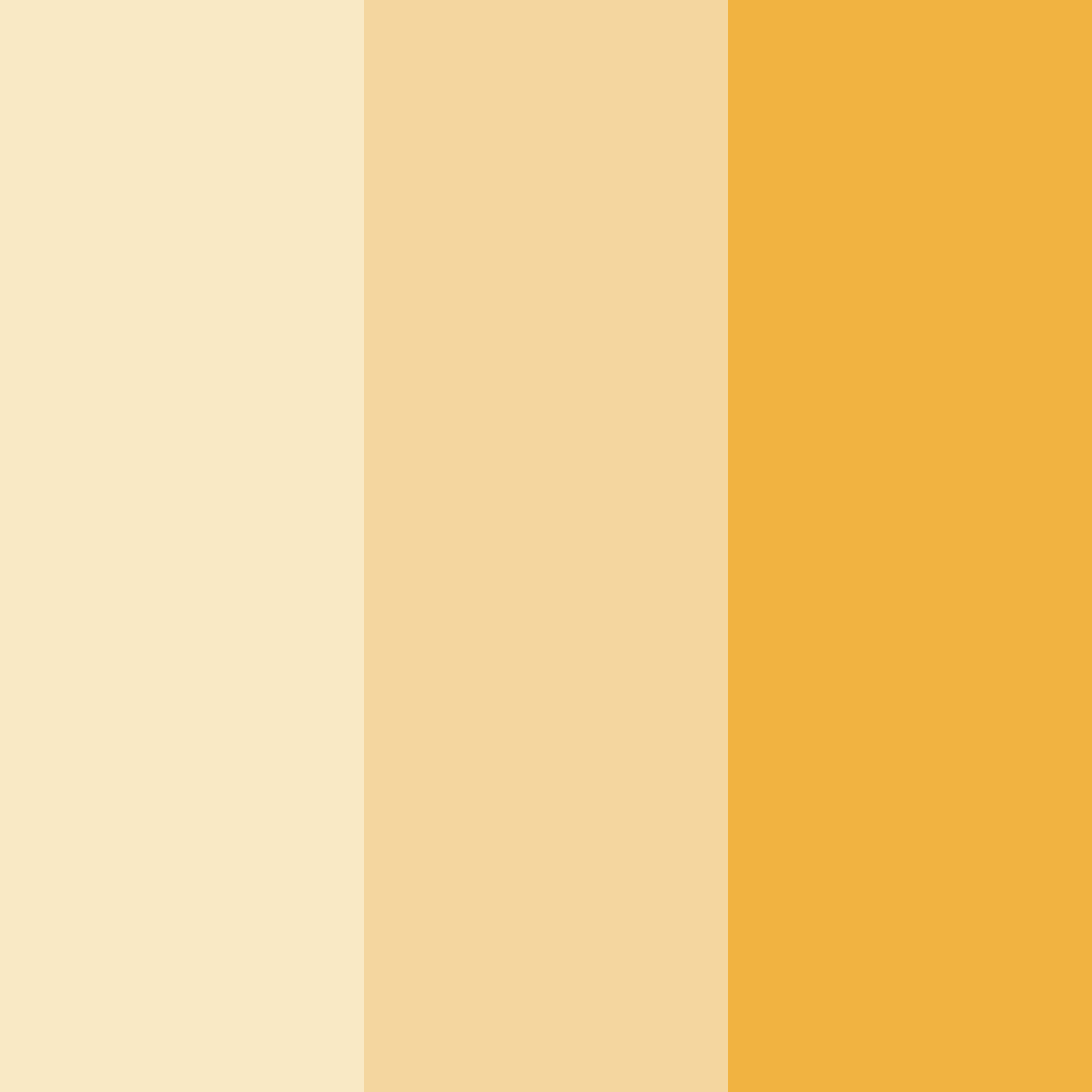 Download creamy yellow color palette PNG image (square)