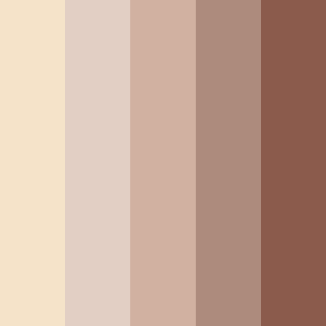 Download beige blossom color palette PNG image (square)